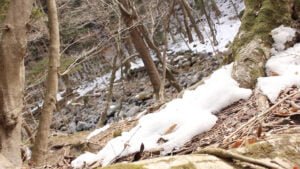 Suga’s Carbon Zero Goal Met with Praise and Skepticism Tochigi Melting Snow 300x169 - Suga’s Carbon Zero Goal Met with Praise and Skepticism
